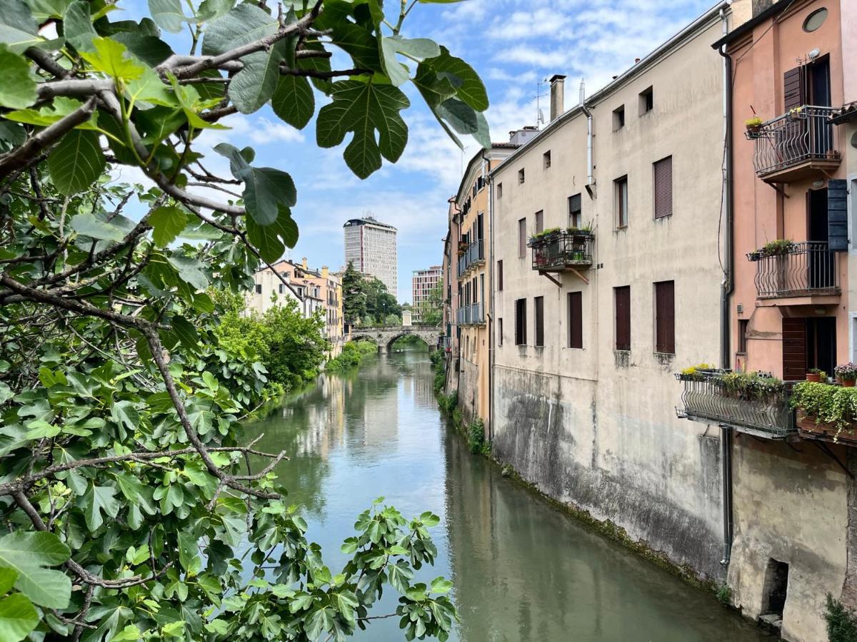 Appartamento Ai Portici Di Via Savonarola Падуа Екстериор снимка